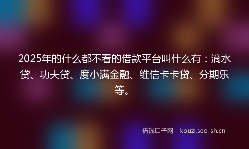 2025年的什么都不看的借款平台叫什么有：滴水贷、功夫贷、度小满金融、维信卡卡贷、分期乐等。