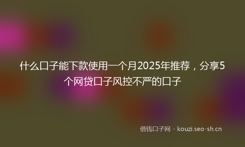 什么口子能下款使用一个月2025年推荐，分享5个网贷口子风控不严的口子