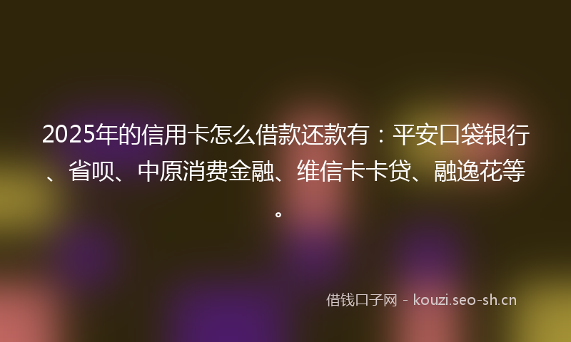 2025年的信用卡怎么借款还款有：平安口袋银行、省呗、中原消费金融、维信卡卡贷、融逸花等。