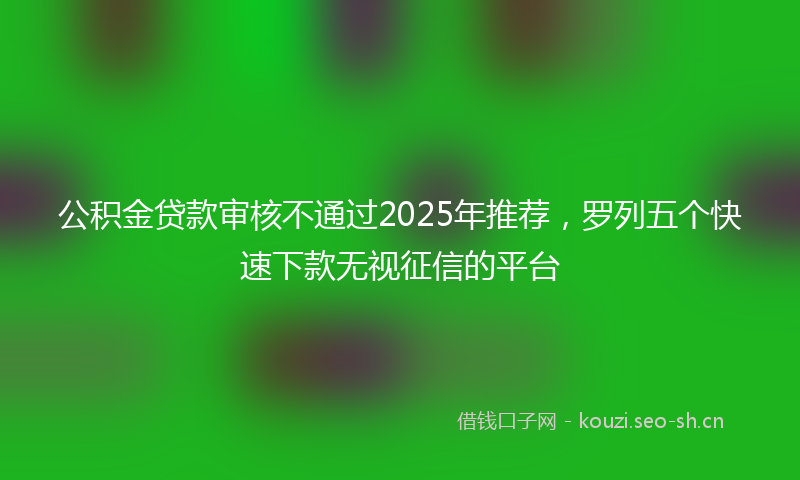 公积金贷款审核不通过2025年推荐，罗列五个快速下款无视征信的平台