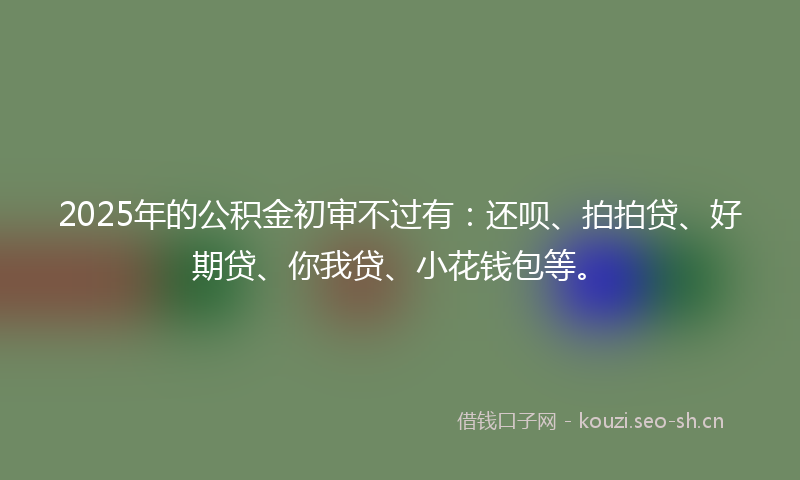 2025年的公积金初审不过有：还呗、拍拍贷、好期贷、你我贷、小花钱包等。
