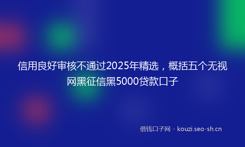 信用良好审核不通过2025年精选，概括五个无视网黑征信黑5000贷款口子