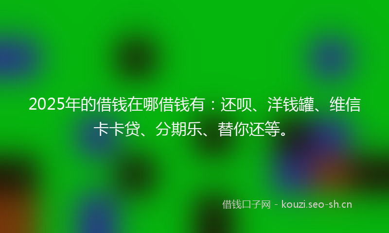 2025年的借钱在哪借钱有：还呗、洋钱罐、维信卡卡贷、分期乐、替你还等。