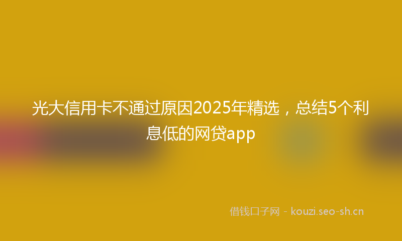 光大信用卡不通过原因2025年精选，总结5个利息低的网贷app