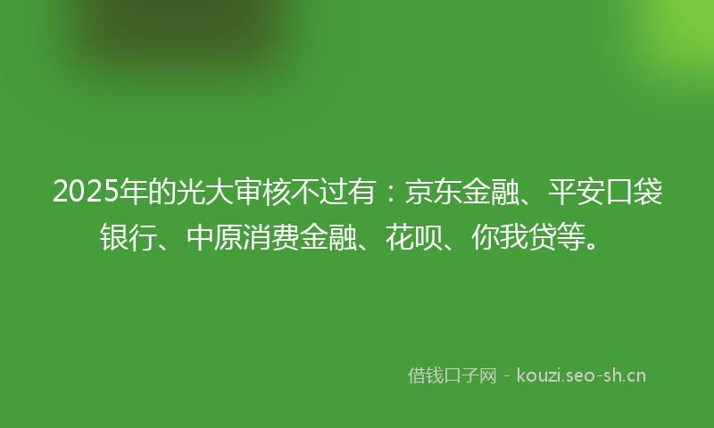 2025年的光大审核不过有：京东金融、平安口袋银行、中原消费金融、花呗、你我贷等。