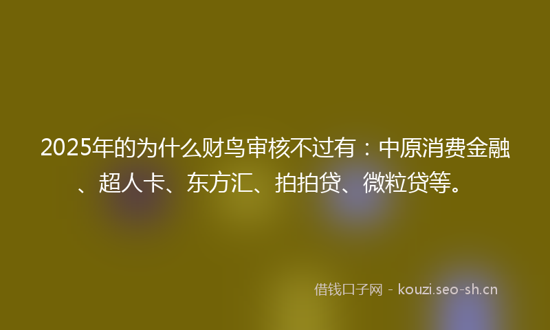 2025年的为什么财鸟审核不过有：中原消费金融、超人卡、东方汇、拍拍贷、微粒贷等。