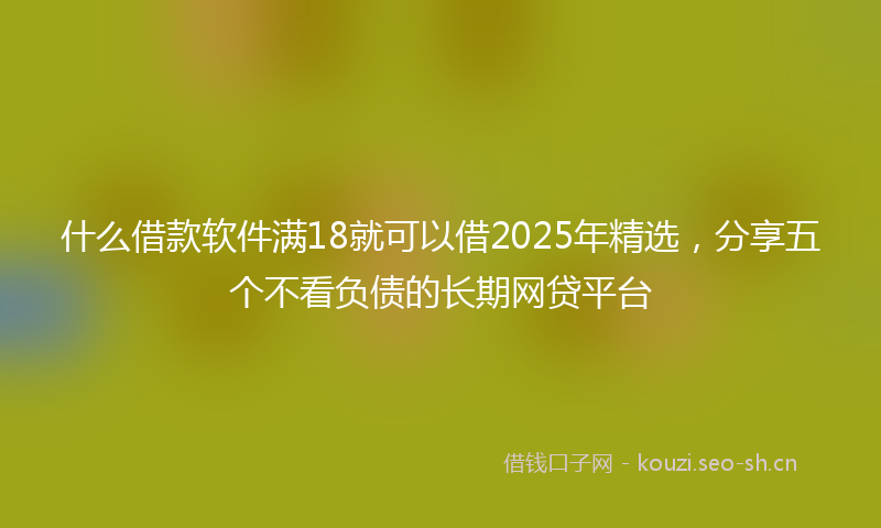 什么借款软件满18就可以借2025年精选，分享五个不看负债的长期网贷平台