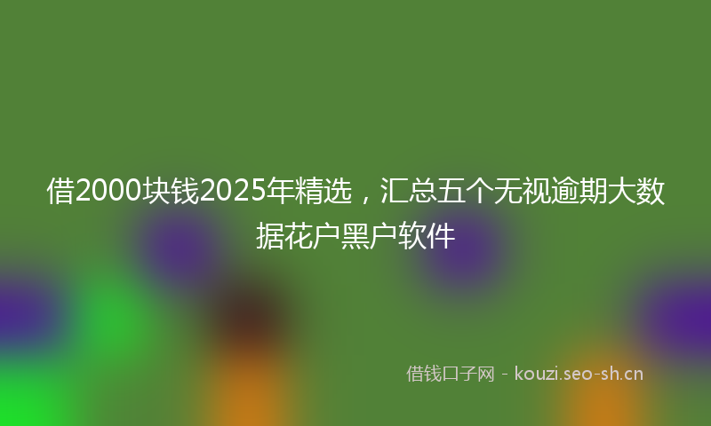 借2000块钱2025年精选，汇总五个无视逾期大数据花户黑户软件