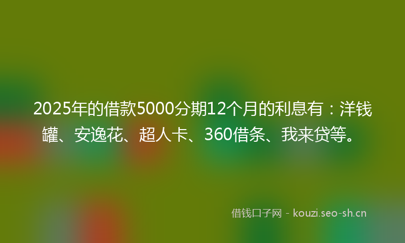 2025年的借款5000分期12个月的利息有：洋钱罐、安逸花、超人卡、360借条、我来贷等。