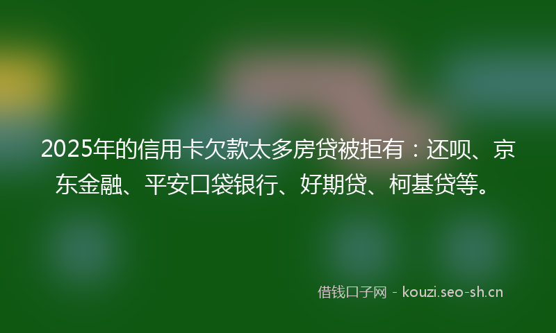 2025年的信用卡欠款太多房贷被拒有：还呗、京东金融、平安口袋银行、好期贷、柯基贷等。