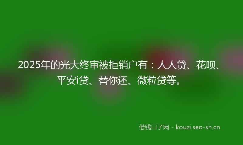 2025年的光大终审被拒销户有：人人贷、花呗、平安i贷、替你还、微粒贷等。