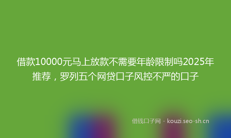 借款10000元马上放款不需要年龄限制吗2025年推荐，罗列五个网贷口子风控不严的口子