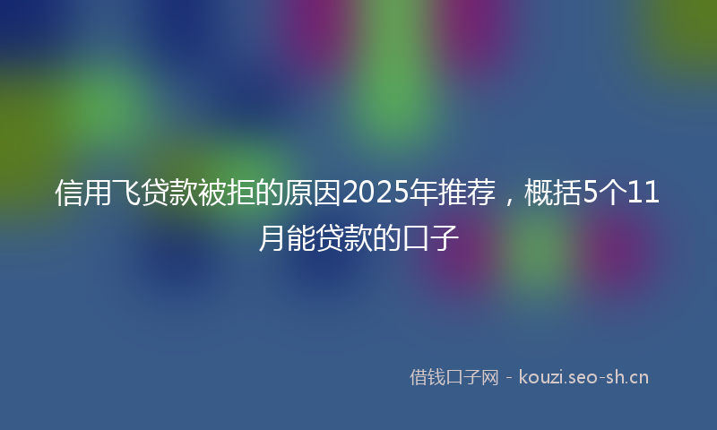 信用飞贷款被拒的原因2025年推荐，概括5个11月能贷款的口子