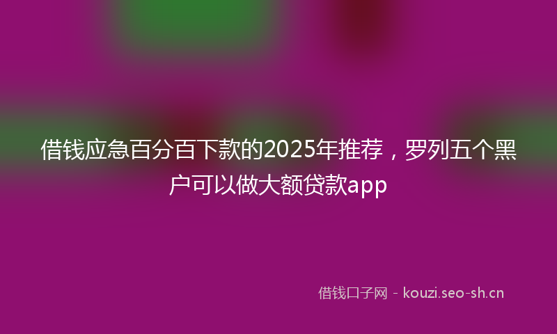 借钱应急百分百下款的2025年推荐，罗列五个黑户可以做大额贷款app