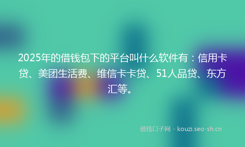 2025年的借钱包下的平台叫什么软件有：信用卡贷、美团生活费、维信卡卡贷、51人品贷、东方汇等。