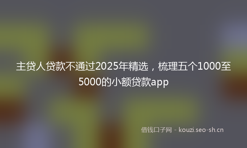主贷人贷款不通过2025年精选，梳理五个1000至5000的小额贷款app