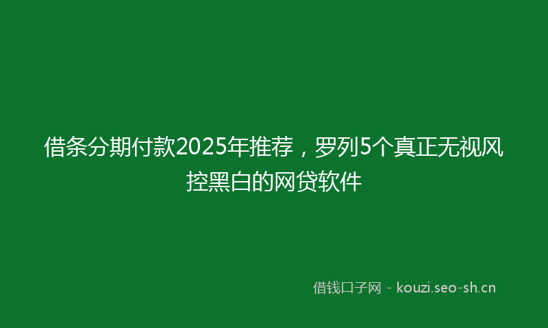 借条分期付款2025年推荐，罗列5个真正无视风控黑白的网贷软件