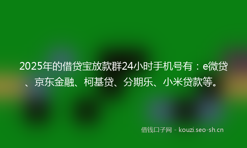 2025年的借贷宝放款群24小时手机号有：e微贷、京东金融、柯基贷、分期乐、小米贷款等。