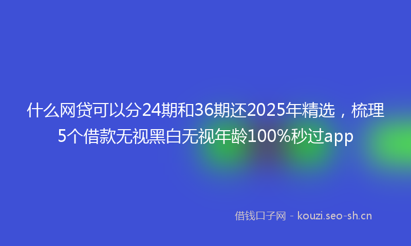 什么网贷可以分24期和36期还2025年精选，梳理5个借款无视黑白无视年龄100%秒过app