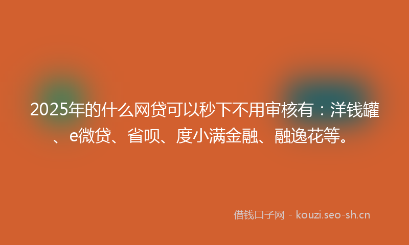 2025年的什么网贷可以秒下不用审核有：洋钱罐、e微贷、省呗、度小满金融、融逸花等。
