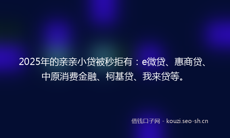 2025年的亲亲小贷被秒拒有:e微贷、惠商贷、中原消费金融、柯基贷、我来贷等。