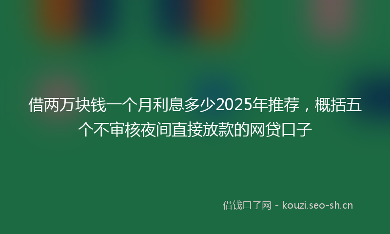 借两万块钱一个月利息多少2025年推荐，概括五个不审核夜间直接放款的网贷口子