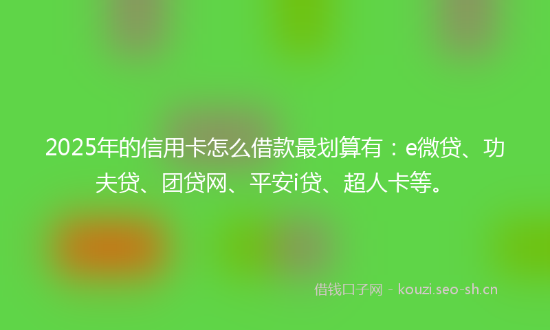 2025年的信用卡怎么借款最划算有：e微贷、功夫贷、团贷网、平安i贷、超人卡等。