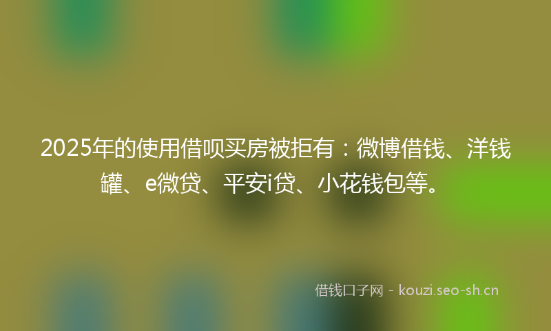 2025年的使用借呗买房被拒有：微博借钱、洋钱罐、e微贷、平安i贷、小花钱包等。