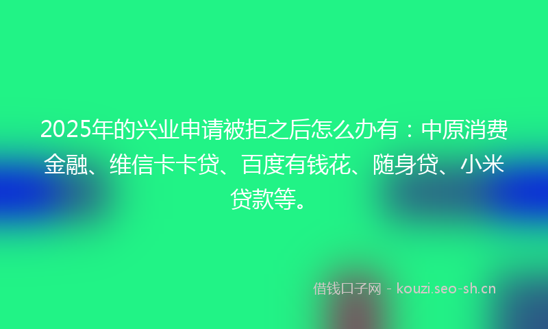 2025年的兴业申请被拒之后怎么办有：中原消费金融、维信卡卡贷、百度有钱花、随身贷、小米贷款等。