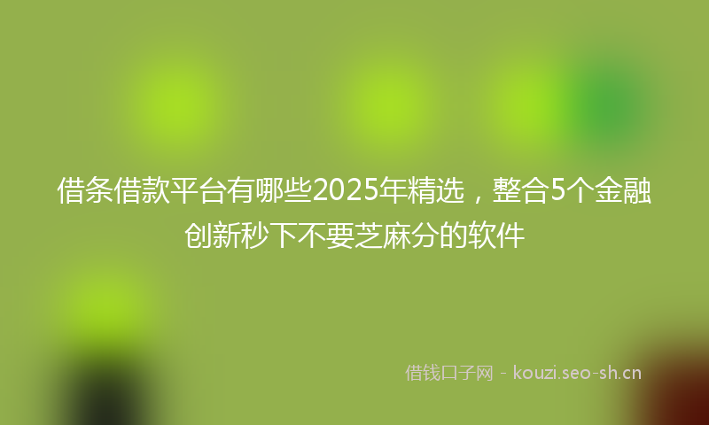 借条借款平台有哪些2025年精选，整合5个金融创新秒下不要芝麻分的软件