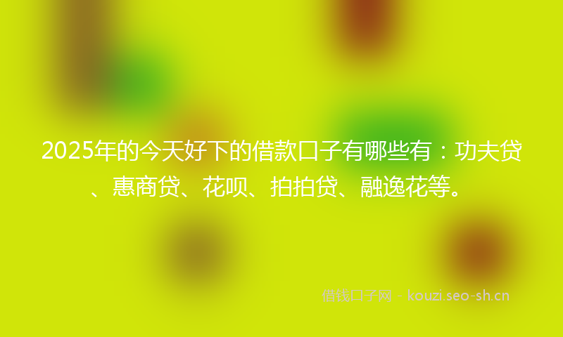 2025年的今天好下的借款口子有哪些有：功夫贷、惠商贷、花呗、拍拍贷、融逸花等。