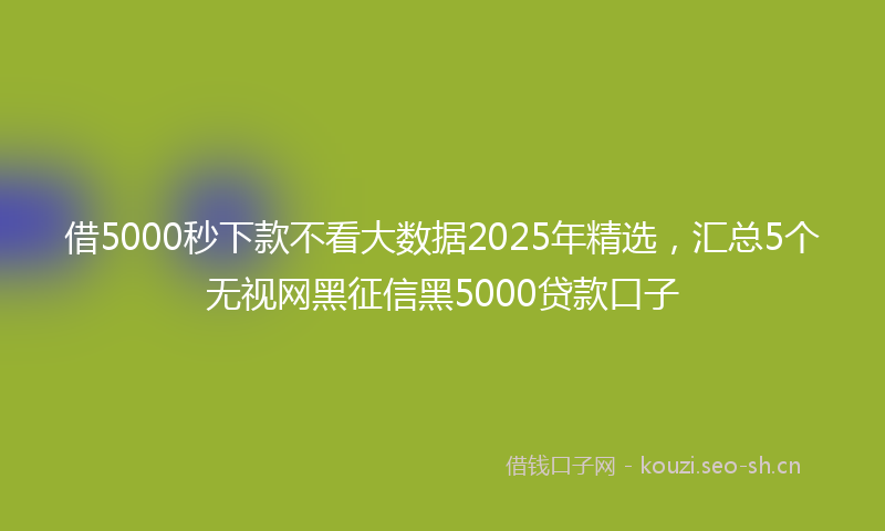 借5000秒下款不看大数据2025年精选，汇总5个无视网黑征信黑5000贷款口子