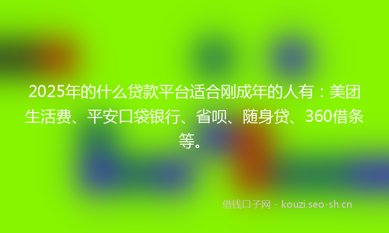 2025年的什么贷款平台适合刚成年的人有：美团生活费、平安口袋银行、省呗、随身贷、360借条等。