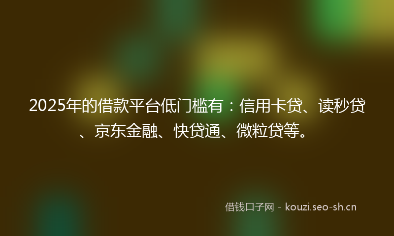 2025年的借款平台低门槛有：信用卡贷、读秒贷、京东金融、快贷通、微粒贷等。