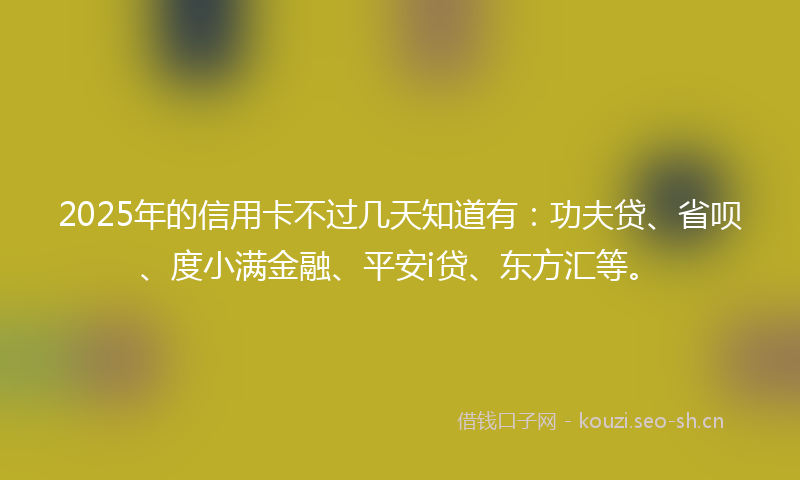 2025年的信用卡不过几天知道有：功夫贷、省呗、度小满金融、平安i贷、东方汇等。