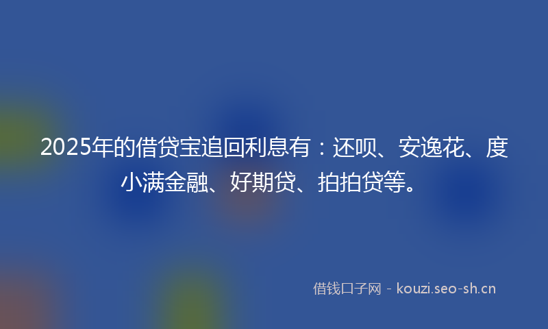 2025年的借贷宝追回利息有:还呗、安逸花、度小满金融、好期贷、拍拍贷等。