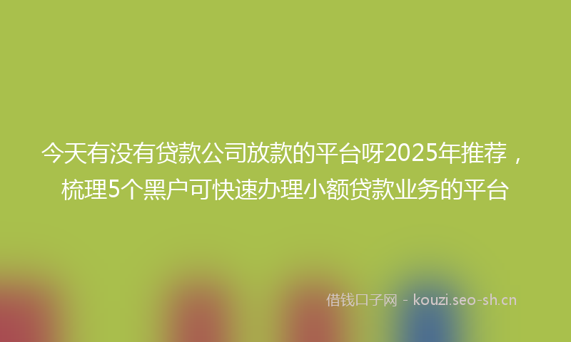 今天有没有贷款公司放款的平台呀2025年推荐，梳理5个黑户可快速办理小额贷款业务的平台