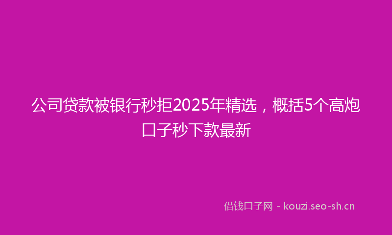 公司贷款被银行秒拒2025年精选，概括5个高炮口子秒下款最新