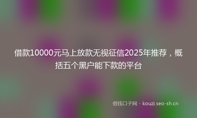 借款10000元马上放款无视征信2025年推荐，概括五个黑户能下款的平台
