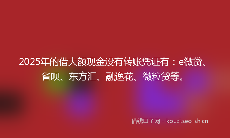 2025年的借大额现金没有转账凭证有：e微贷、省呗、东方汇、融逸花、微粒贷等。