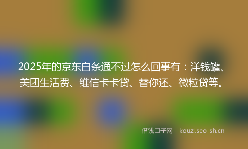 2025年的京东白条通不过怎么回事有：洋钱罐、美团生活费、维信卡卡贷、替你还、微粒贷等。