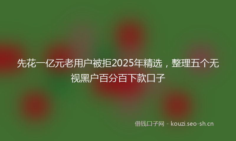 先花一亿元老用户被拒2025年精选,整理五个无视黑户百分百下款口子