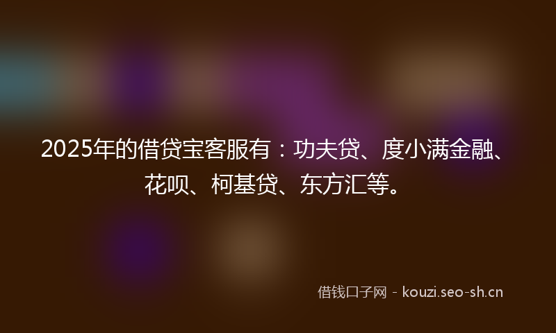 2025年的借贷宝客服有：功夫贷、度小满金融、花呗、柯基贷、东方汇等。