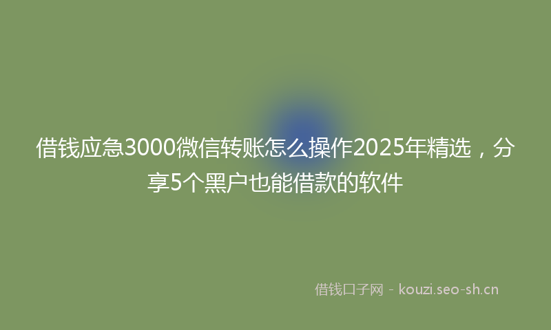 借钱应急3000微信转账怎么操作2025年精选，分享5个黑户也能借款的软件