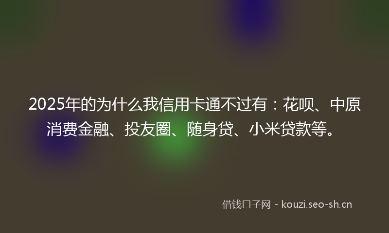 2025年的为什么我信用卡通不过有：花呗、中原消费金融、投友圈、随身贷、小米贷款等。