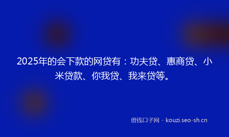 2025年的会下款的网贷有：功夫贷、惠商贷、小米贷款、你我贷、我来贷等。