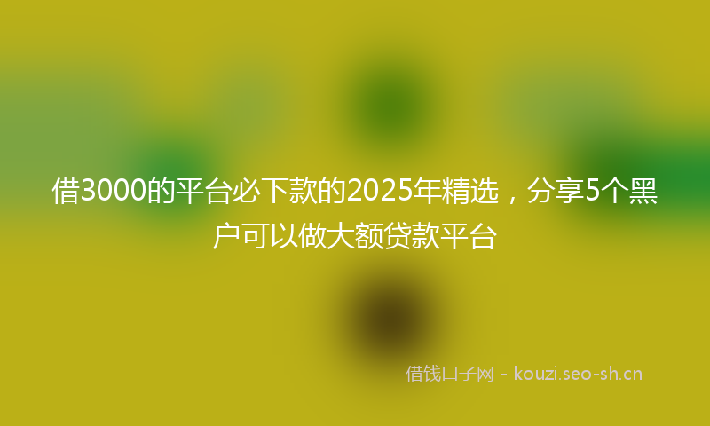 借3000的平台必下款的2025年精选，分享5个黑户可以做大额贷款平台