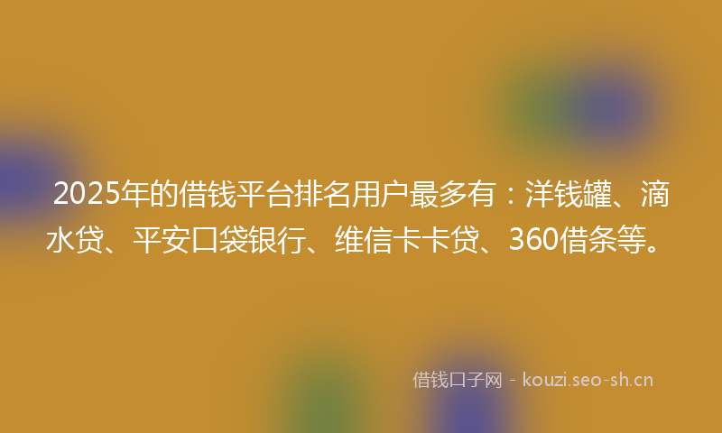 2025年的借钱平台排名用户最多有：洋钱罐、滴水贷、平安口袋银行、维信卡卡贷、360借条等。