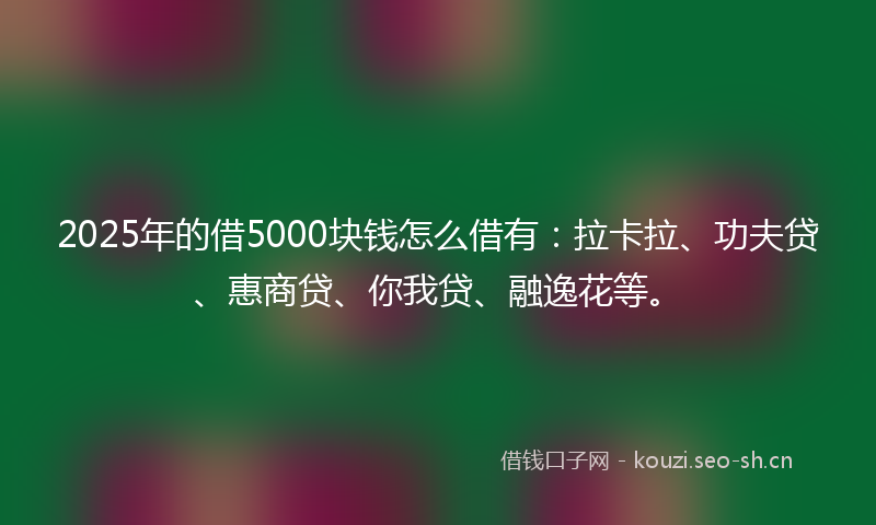 2025年的借5000块钱怎么借有：拉卡拉、功夫贷、惠商贷、你我贷、融逸花等。