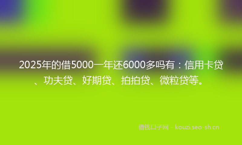 2025年的借5000一年还6000多吗有：信用卡贷、功夫贷、好期贷、拍拍贷、微粒贷等。